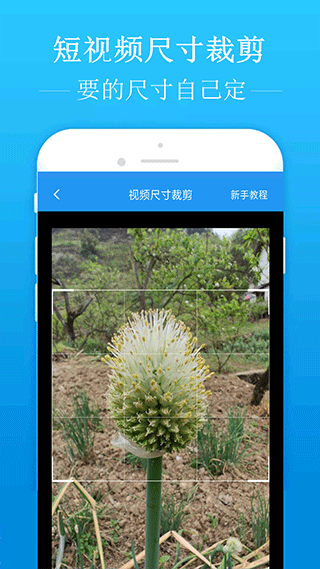 哪吒：爹，这丸子头非扎不可吗...